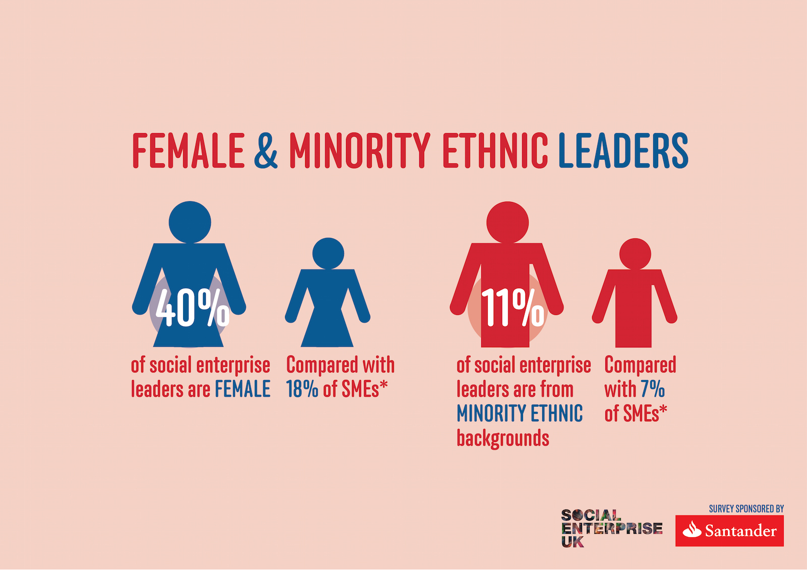 SEUK infographic: diversity