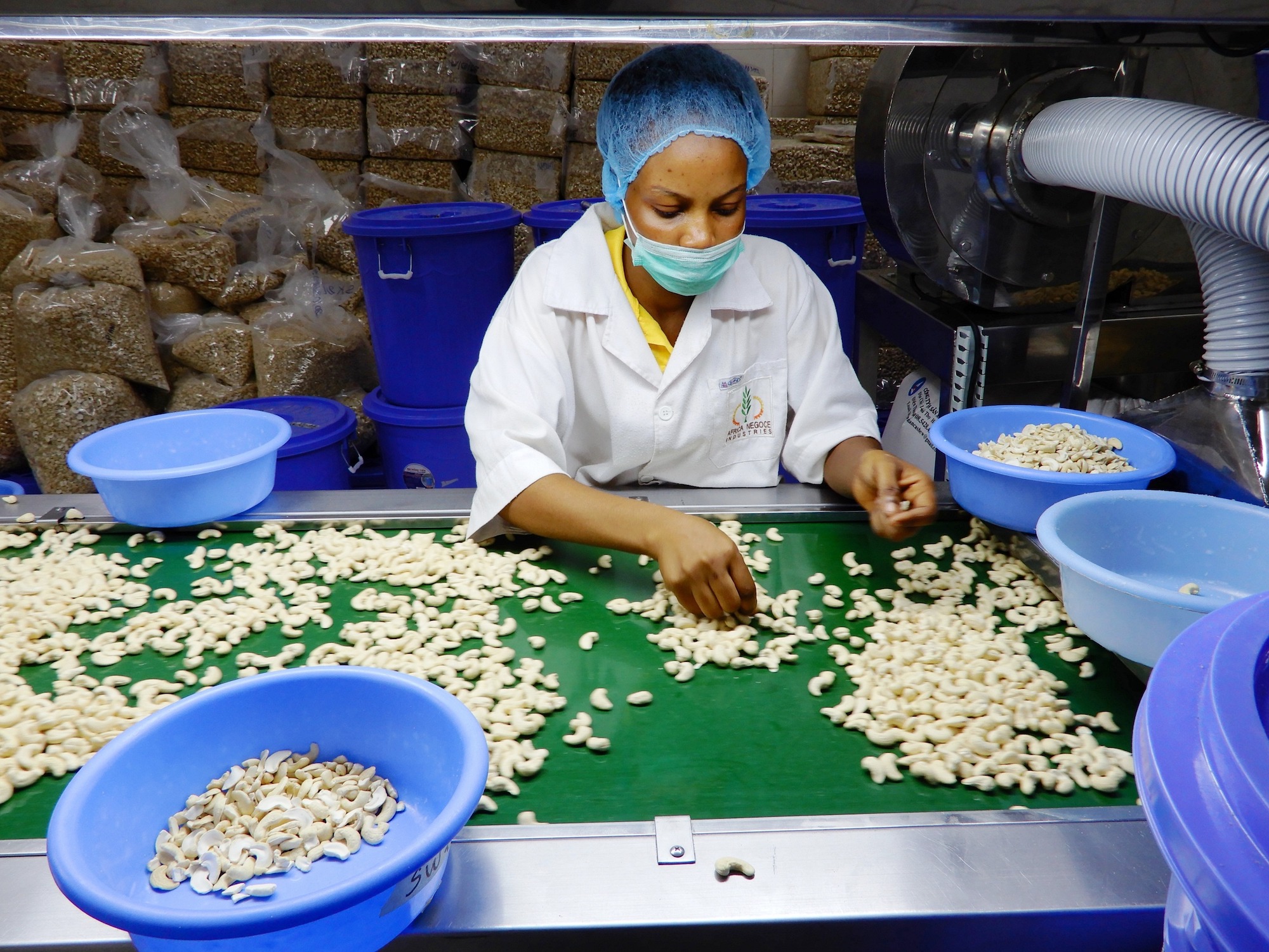 a woman wearing a hat and mask processes cashew nuts