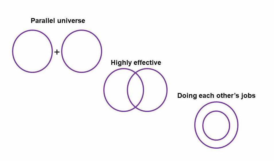 Alignment of board and management team - Venn Diagram