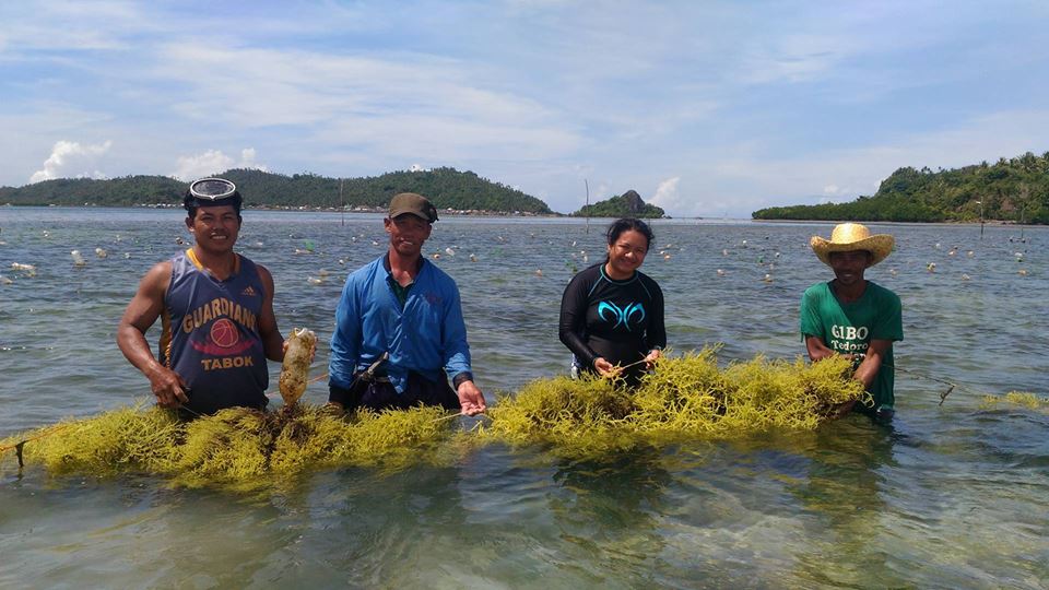 British Council Philippines seaweed