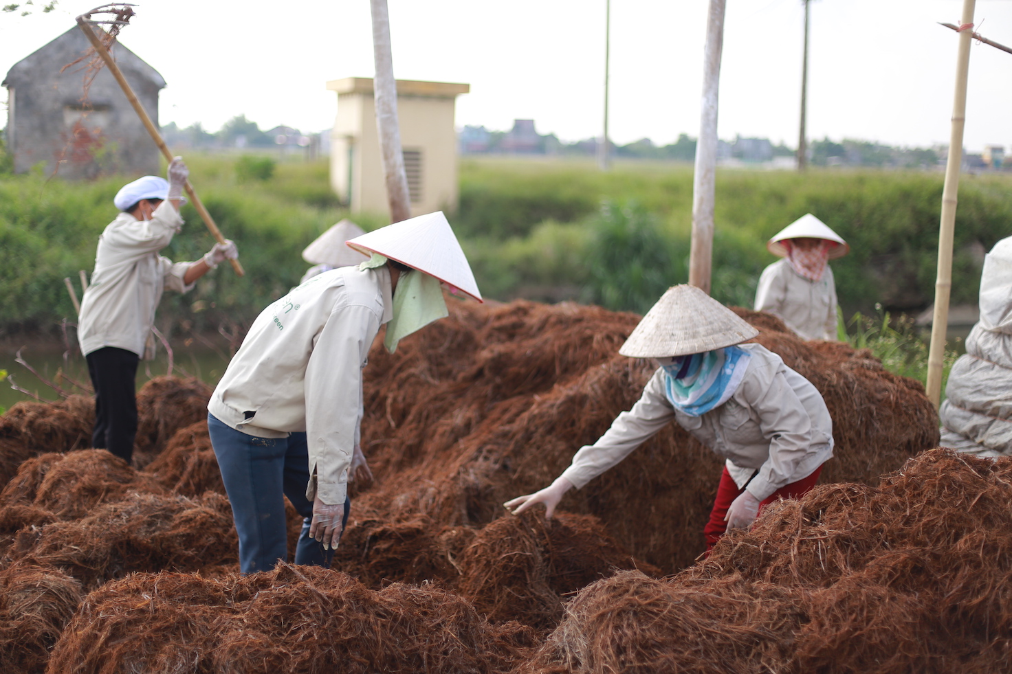 Fargreen farmers