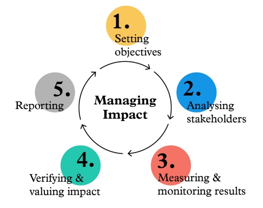 IMM five-step process - EVPA