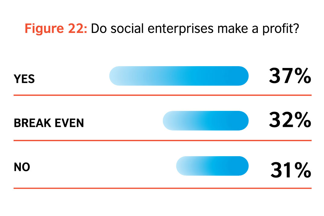 Do social enterprises in Malaysia make a profit