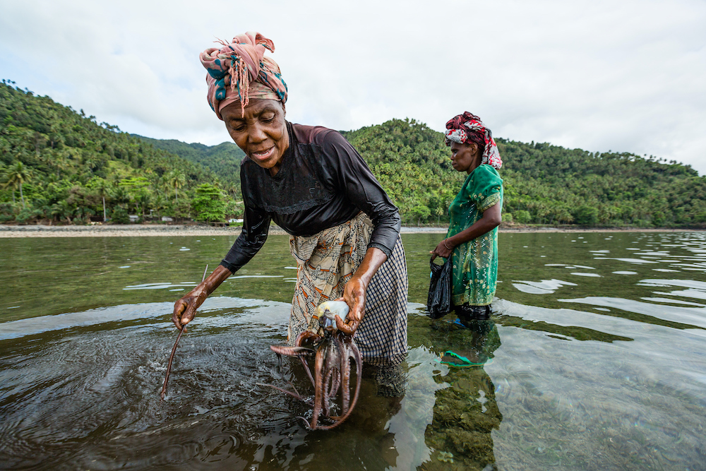 Mangrove preservation social enterprise