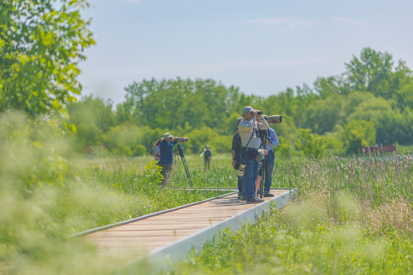 People on an observation platform in the Ruisseau De Feu conservation park