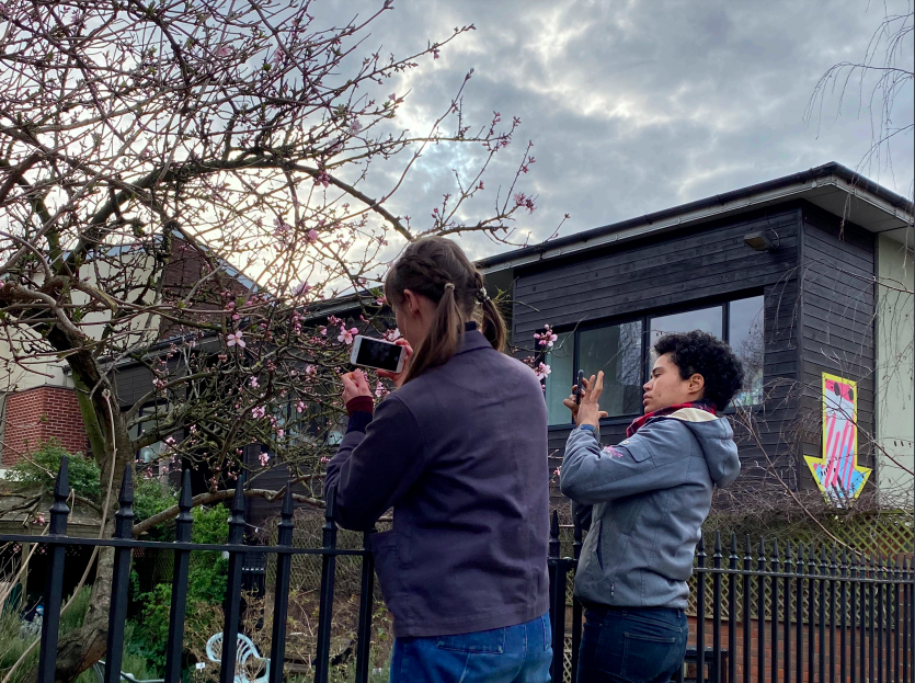 Nat Mady's colleagues at Hackney Herbal taking pictures of a tree in blossom