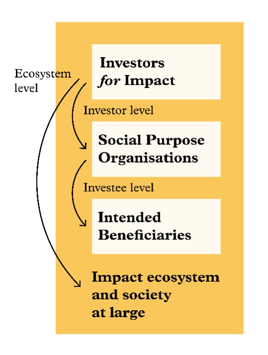 Three levels of IMM - EVPA