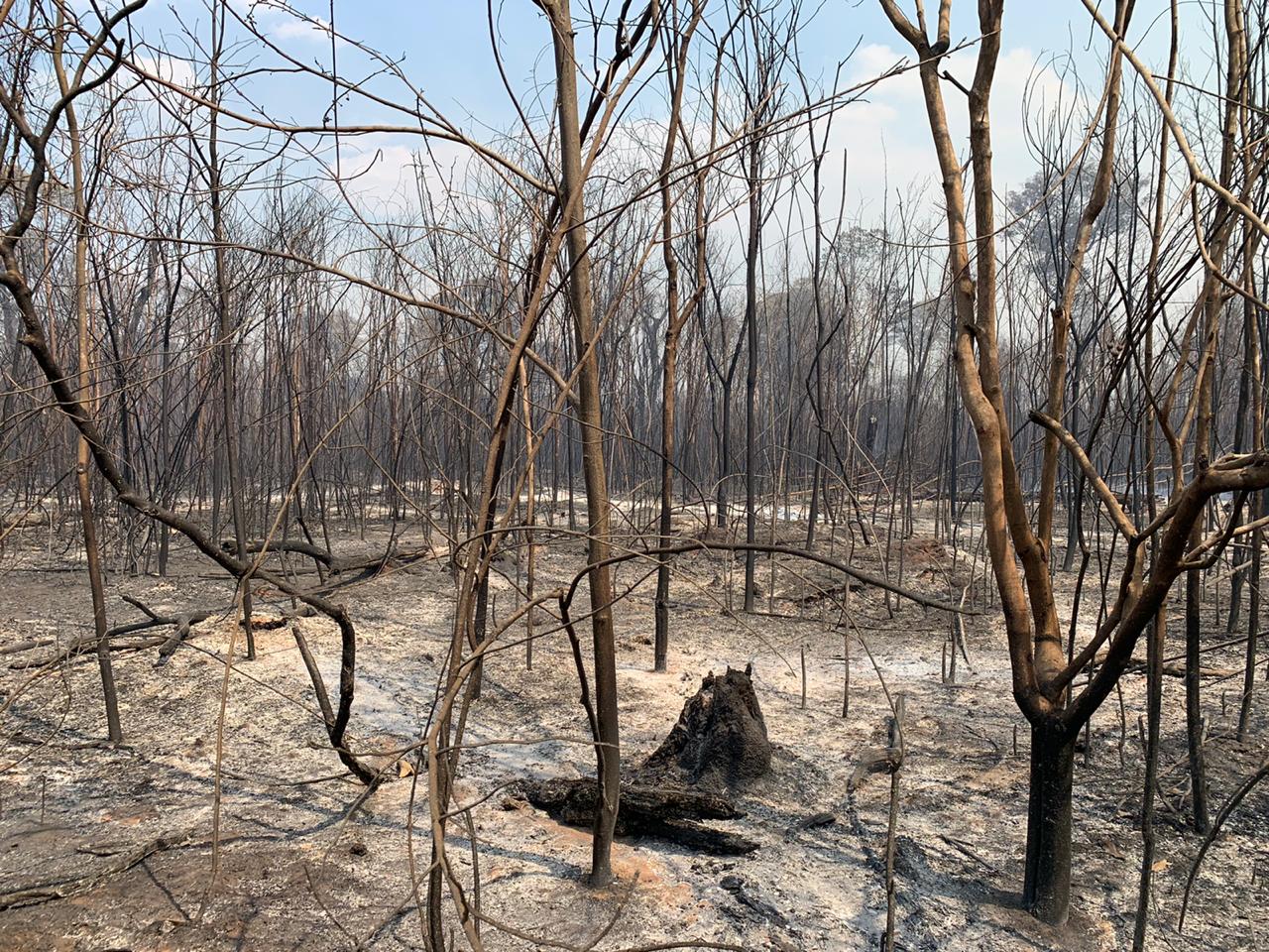 Forest fires Xingu - credit Takumã Kuikuro 