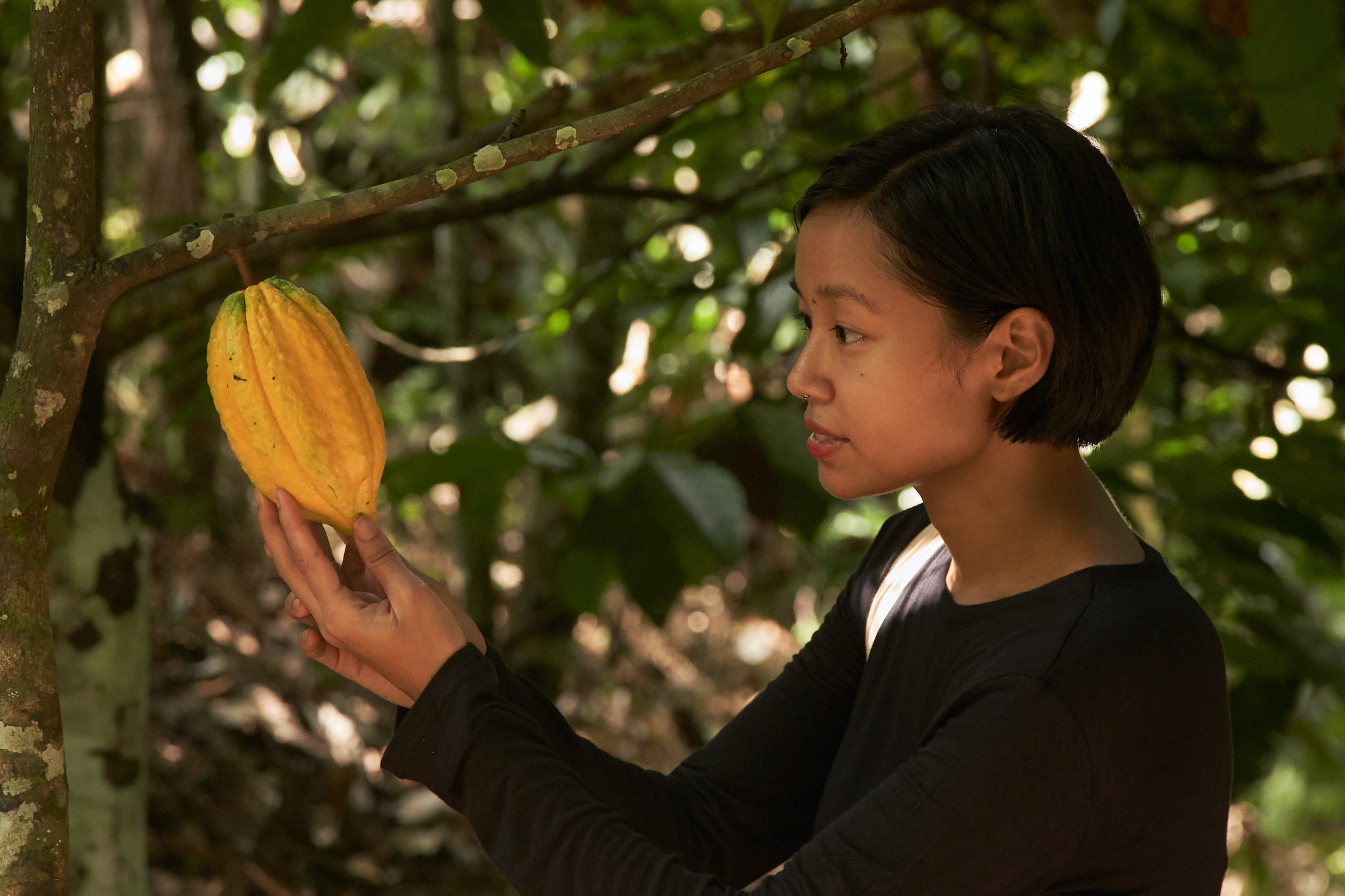 1 million social enterprises are working across South East Asia, latest research finds - Vimarsana News
