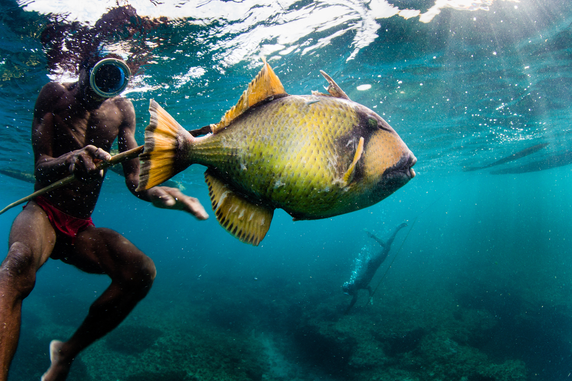 Business and finance unite as UN Ocean Conference seeks to plug ‘life below water’ funding gap | The Social Enterprise Magazine