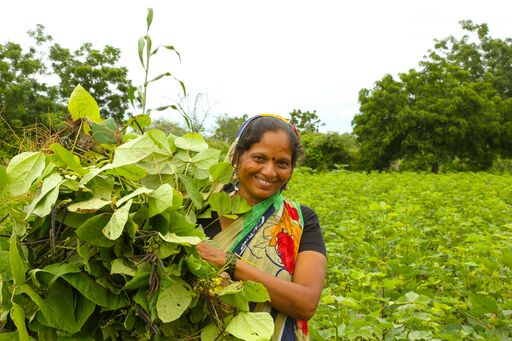 IIX Women's Livelihood Bonds - woman in South Asia