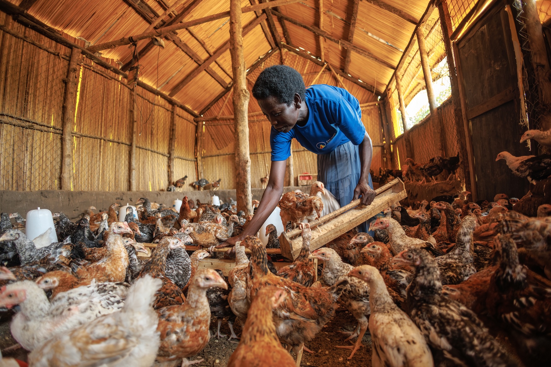 pioneerspost.com - Why refugees need economic opportunities, not just aid
