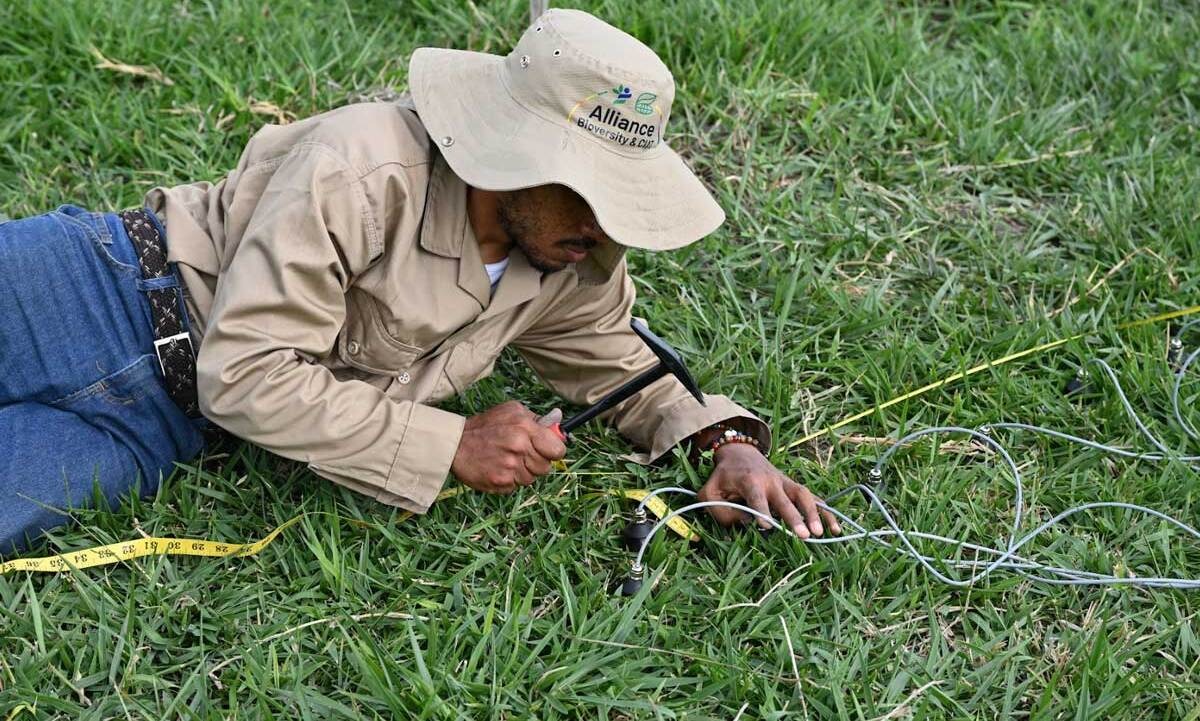 pioneerspost.com - The Editor's Post: Digging deep into soil health and regenerative farming