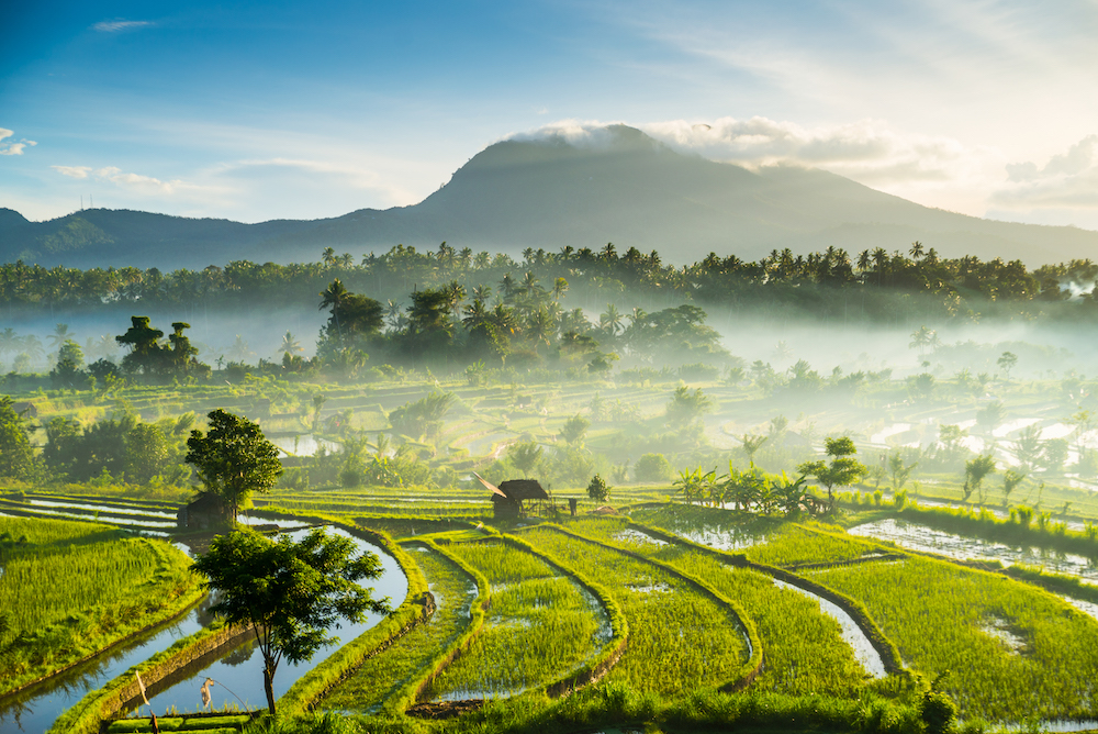 AVPN Global Conference 2022: Spotlighting the best ideas in Asia for catalysing capital towards impact - Vimarsana News