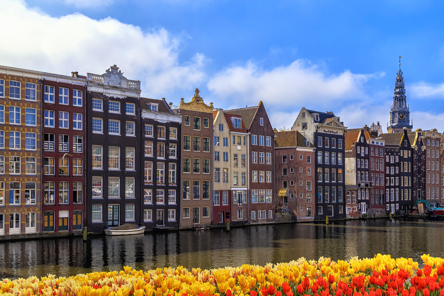A blueprint for the future: How Amsterdam is redesigning the new impact ...