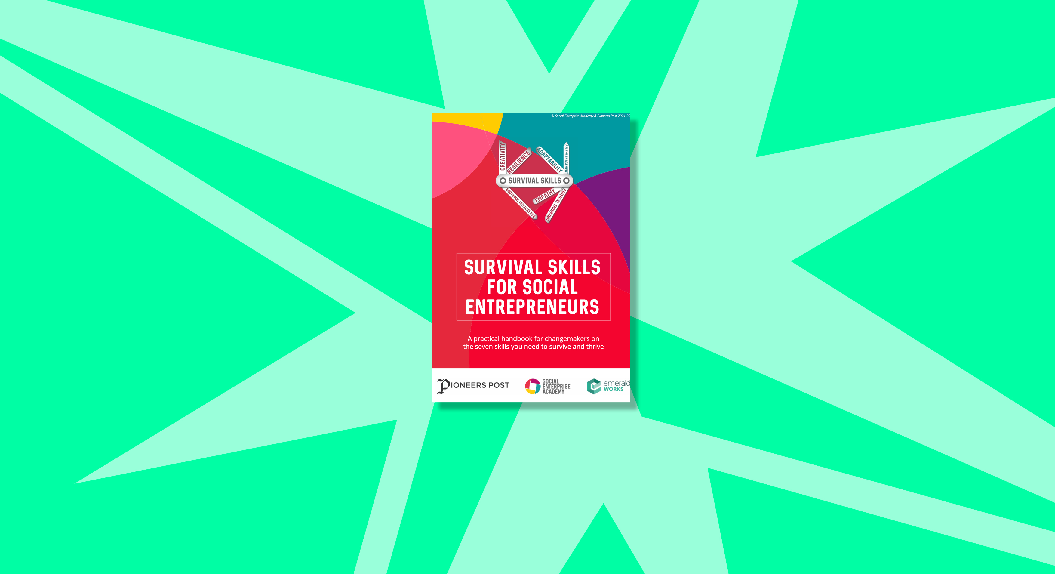 Survival Skills For Social Entrepreneurs A Handbook For Changemakers survival-skills-for-social-entrepreneurs-a-handbook-for-changemakers