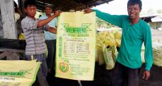 Philippines social enterprise Greenfriend