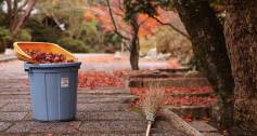 Sweeping up leaves_Autumn