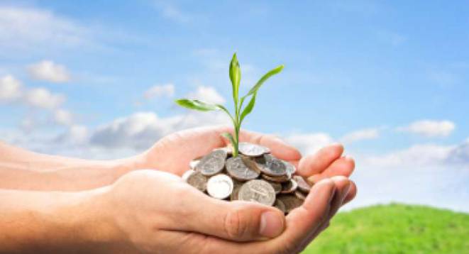 Green shoots grow from money pot Green shoots grow from money pot