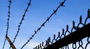 Barbed Wire