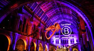 B Corp Celebration at Natural History Museum