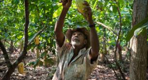 A Colombian farmer