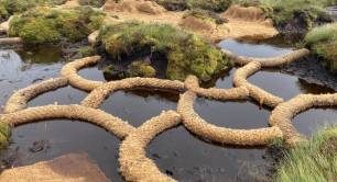 Coir bales peatlands