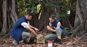 Darwin nature-based solutions enterprise