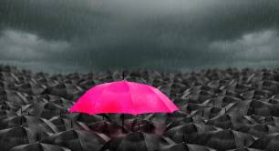 Pink umbrella among black umbrellas