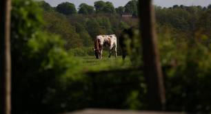 Social Investment in Action: Fordhall Farm