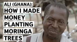 Ali (Ghana): How I made money planting Moringa trees